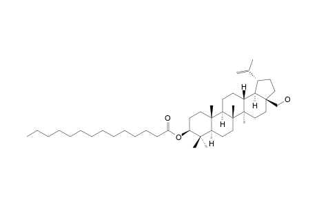 3-O-MYRISTOLBETULIN