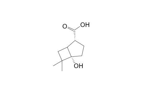 5-Hydroxy-6,6-dimethylbicyclo[3.2.0]heptane-2-carboxylic acid