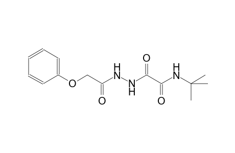 N-(tert-butyl)-2-oxo-2-[2-(phenoxyacetyl)hydrazino]acetamide