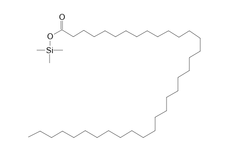 Tetratriacontanoic acid, mono-TMS