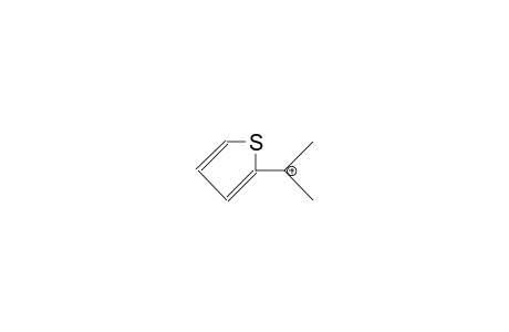 2-(2-Thienyl)-propylium cation