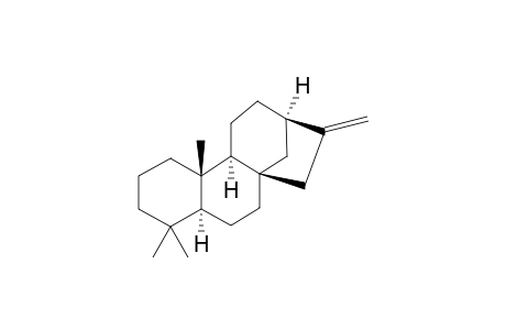 Phyllocladene