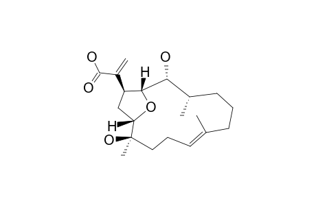 12,13-Bisepieupalmeroic acid