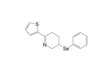 2-(2-Thienyl)-5-(phenylseleno)-3,4,5,6-tetrahydropyridine