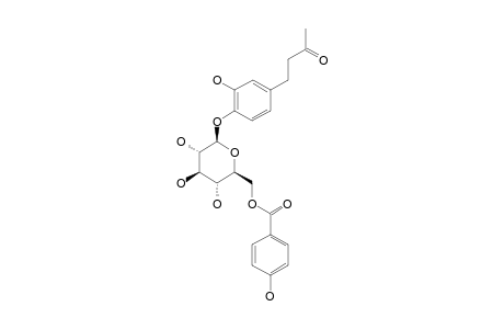 SALVIAPLEBEIASIDE;4-[4-O-[6-(4-HYDROXYBENZOYL)-O-BETA-D-GLUCOPYRANOSYL]-3-HYDROXYPHENYL]-2-BUTANONE