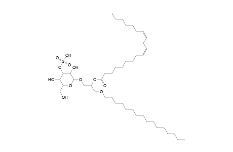 SMGDG O-16:0_19:2