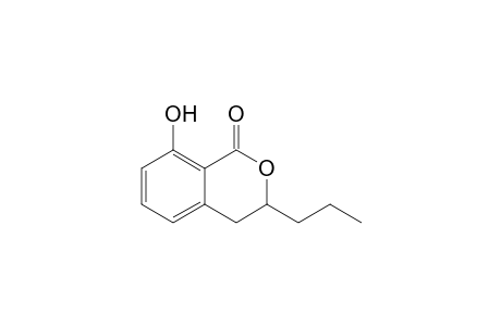 (+-)-8-Hydroxy-3-propyl-3,4-dihydro-1H-2-benzopyran-1-one