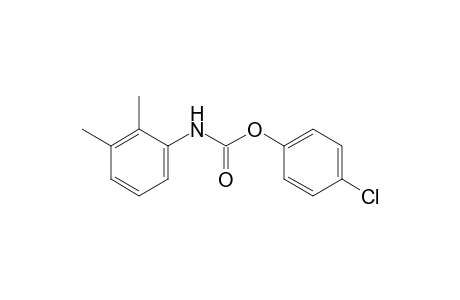 2,3-dimethylcarbanilic acid, p-chlorophenyl ester