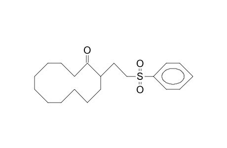 2-B-Phenylsulfonylethyl-cyclododecanone