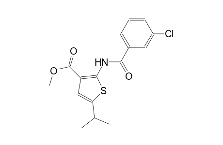 methyl 2-[(3-chlorobenzoyl)amino]-5-isopropyl-3-thiophenecarboxylate