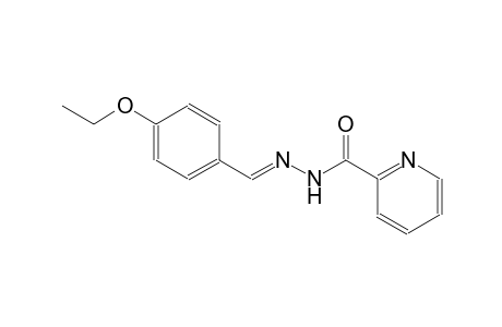 2-pyridinecarboxylic acid, 2-[(E)-(4-ethoxyphenyl)methylidene]hydrazide