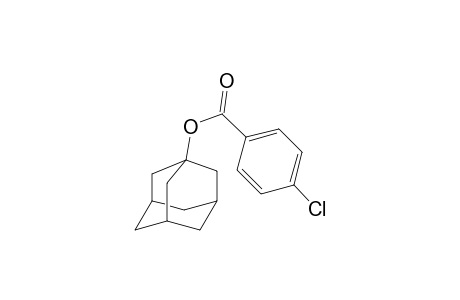 1-Adamantanol 4-chlorobenzoate