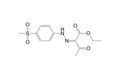 ethyl (2Z)-2-{[4-(methylsulfonyl)phenyl]hydrazono}-3-oxobutanoate