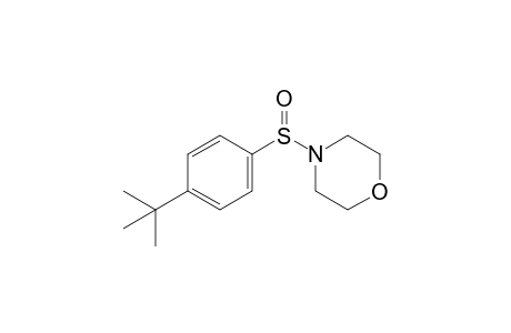 4-(4-tert-butylphenyl)sulfinylmorpholine