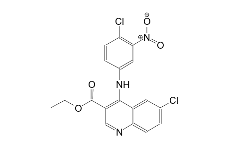 3-quinolinecarboxylic acid, 6-chloro-4-[(4-chloro-3-nitrophenyl)amino]-, ethyl ester