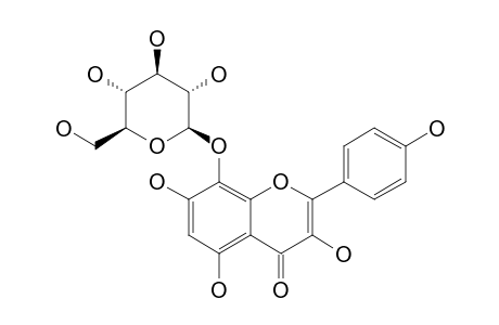 HERBACETIN-8-O-BETA-D-GLUCOPYRANOSIDE