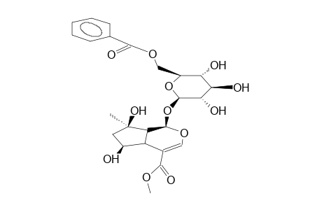 6'-O-BENZOYL-SHANZHISIDE-METHYLESTER