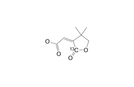 (Z)-4,4-DIMETHYL-2-OXOTETRAHYDRO-(2-13C)-FURAN-3-YLIDENEACETIC-ACID