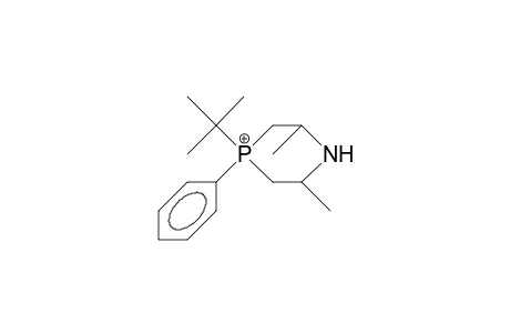 4-tert-Butyl-2R,6T-dimethyl-4-phenyl-1-azaphosphorinanium cation (ph ax)