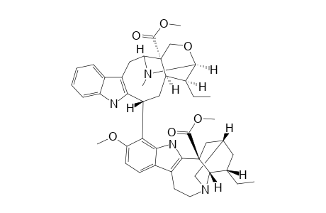 TABERNARICATINE_B