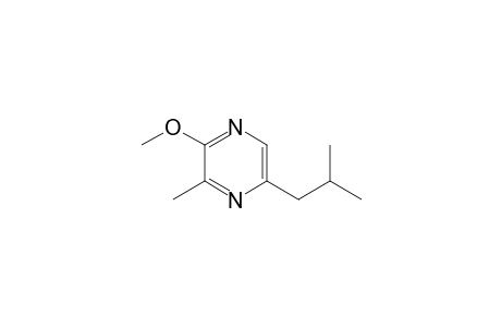 5-Isobutyl-2-methoxy-3-methylpyrazine