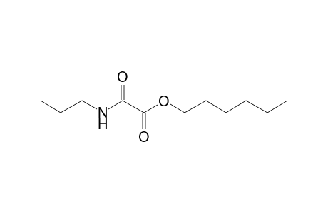 Oxalic acid, monoamide, n-propyl, hexyl ester