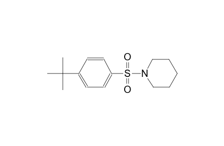 piperidine, 1-[[4-(1,1-dimethylethyl)phenyl]sulfonyl]-