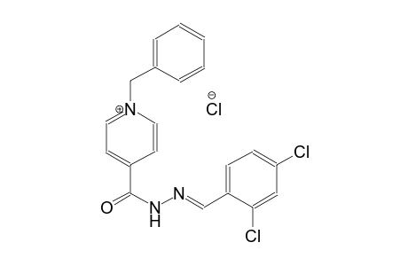 1-benzyl-4-{[(2E)-2-(2,4-dichlorobenzylidene)hydrazino]carbonyl}pyridinium chloride