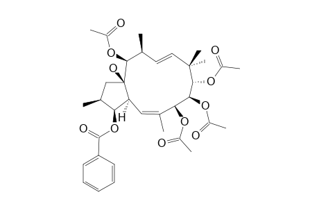 EUPHOMELLIFERENE_B;3-BETA-BENZOYLOXY-15-BETA-HYDROXY-7-BETA,8-BETA,9-ALPHA,14-BETA-TETRACETOXY-2-ALPHA-H,13-ALPHA-H-JATROPHA-5-E,11-E-DIENE