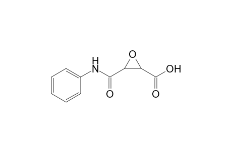 4-[N-Phenyl-(cis)-2,3-epoxysuccinamic] Acid