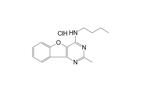 N-butyl-2-methyl[1]benzofuro[3,2-d]pyrimidin-4-amine hydrochloride
