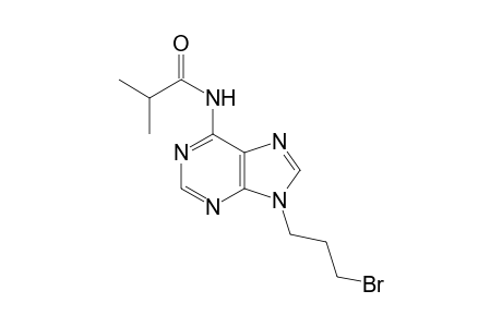 N-[9-(3-bromanylpropyl)purin-6-yl]-2-methyl-propanamide