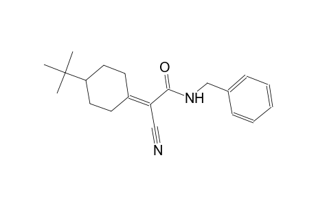 N-benzyl-2-(4-tert-butylcyclohexylidene)-2-cyanoacetamide