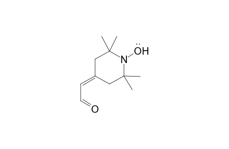 2-(1'-Oxyl-2',2',6,6''-tetramethylpiperidin-4'-ylidene)-acetaldehyde
