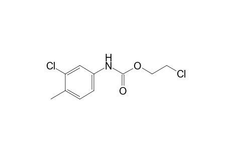 3-chloro-4-methylcarbanilic acid, 2-chloroethyl ester