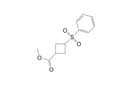 methyl 3-phenylsulfonylcyclobutylcarboxylate