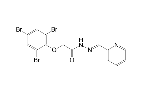 N'-[(E)-2-pyridinylmethylidene]-2-(2,4,6-tribromophenoxy)acetohydrazide