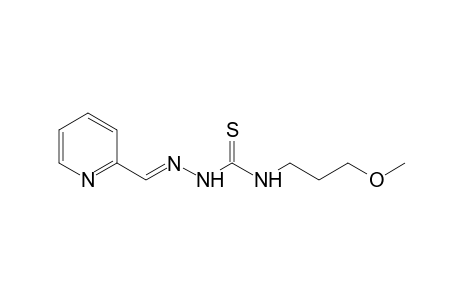 picolinaldehyde, 4-(3-methoxypropyl)-3-thiosemicarbazone