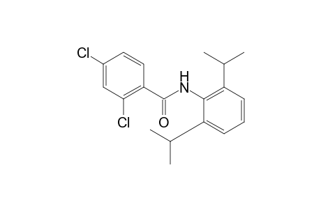 2,4-dichloro-2',6'-diisopropylbenzanilide