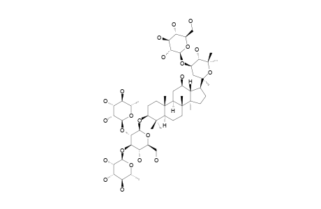 NEOALSOSIDE_M3