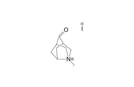 N-METHYL-3-AZANORADAMANTAN-9-ONE-IODIDE