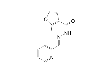 2-methyl-N'-[(E)-2-pyridinylmethylidene]-3-furohydrazide