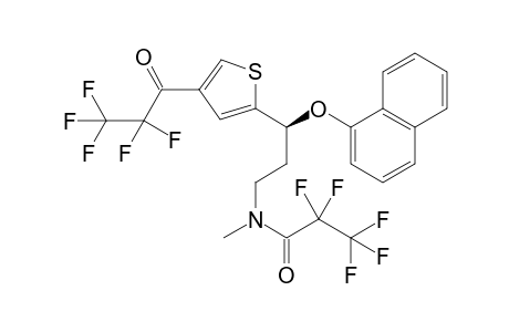 Duloxetin 2PFP II