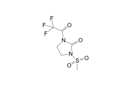 Mezlocilline-M/artifact TFA