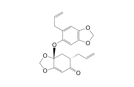 DIDYMOCHLAENONE_B