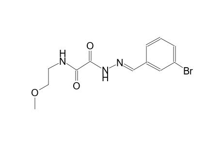 2-[(2E)-2-(3-bromobenzylidene)hydrazino]-N-(2-methoxyethyl)-2-oxoacetamide