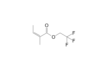 2,2,2-trifluoroethyl (Z)-2-methylbut-2-enoate
