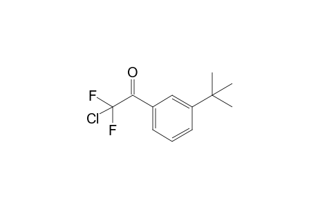 1-(3-(tert-butyl)phenyl)-2-chloro-2,2-difluoroethan-1-one