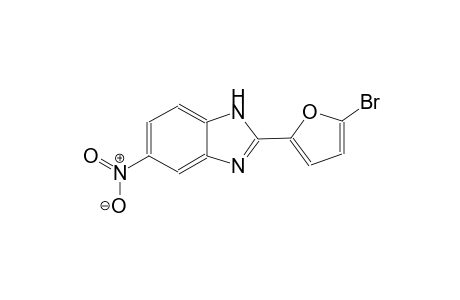 2-(5-bromo-2-furyl)-5-nitro-1H-benzimidazole