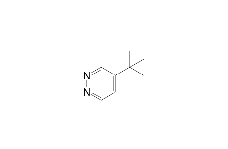 4-tert-Butylpyridazine